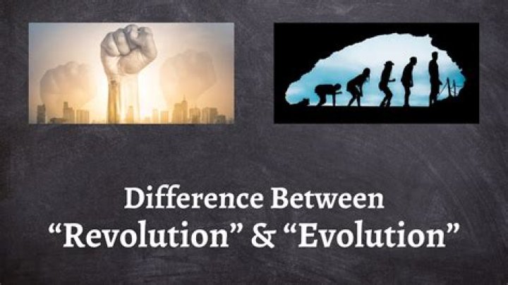 Which is an example of retrogressive evolution?