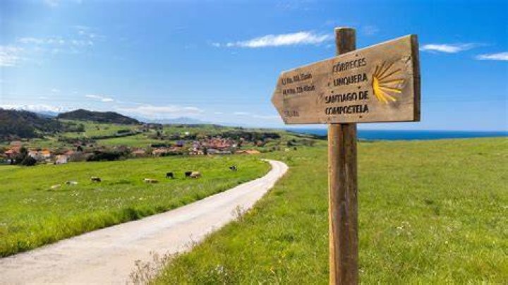 Who is camino del rio?