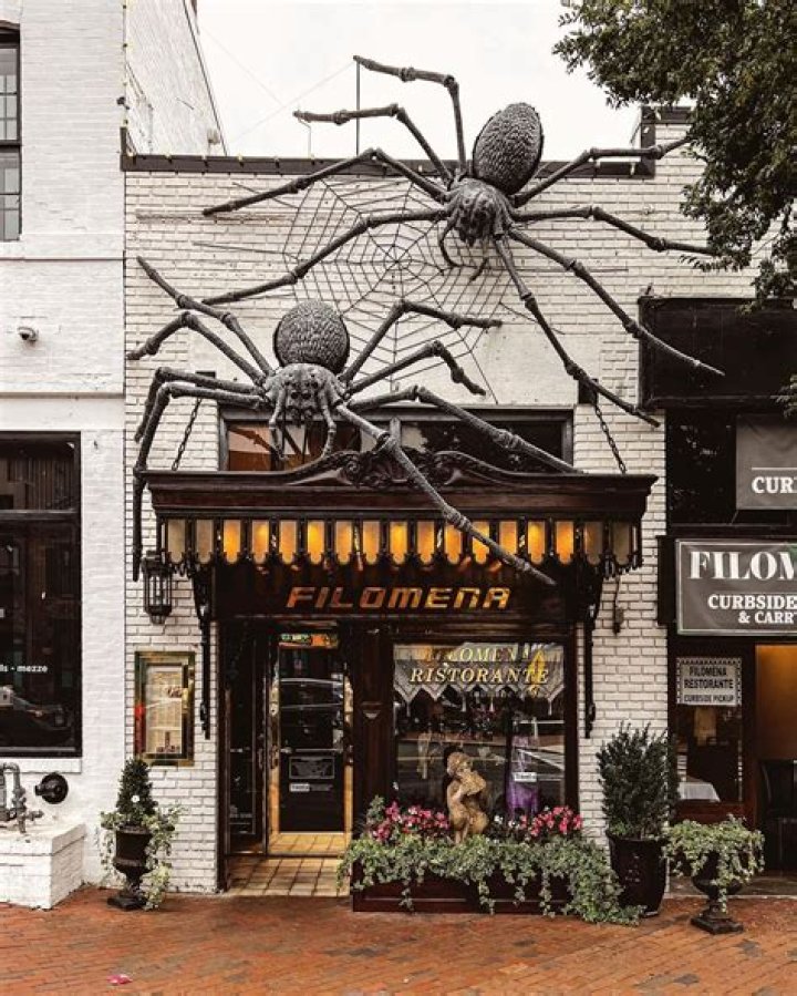 Who owns filomena restaurant?