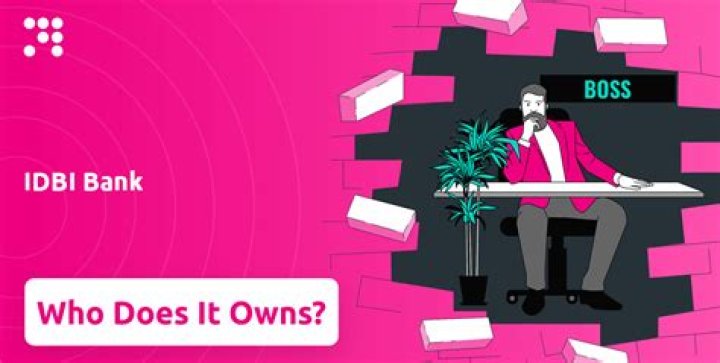Who owns idbi bank?
