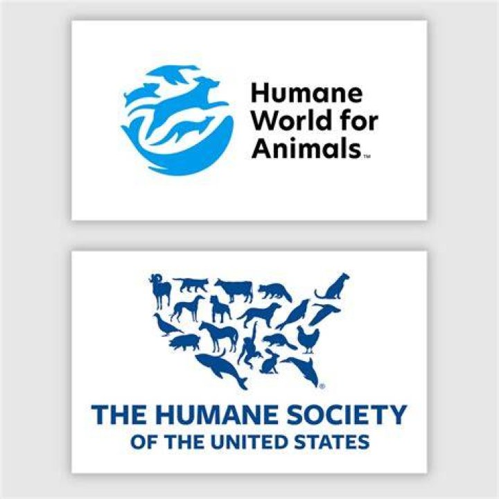 Who runs the humane society?