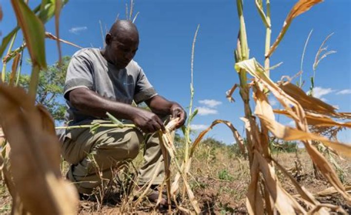 Who threatened the livelihoods of southern farmers?