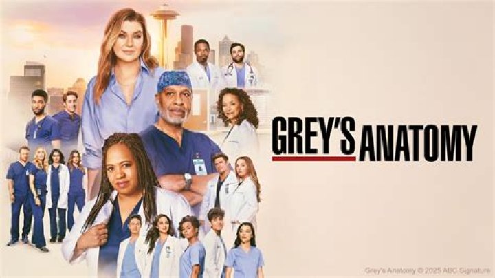 Whos the vet in grey's?