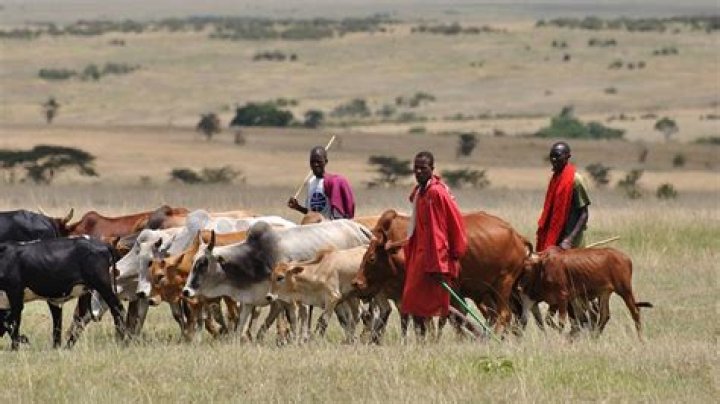 Why are fulani herdsmen fighting?