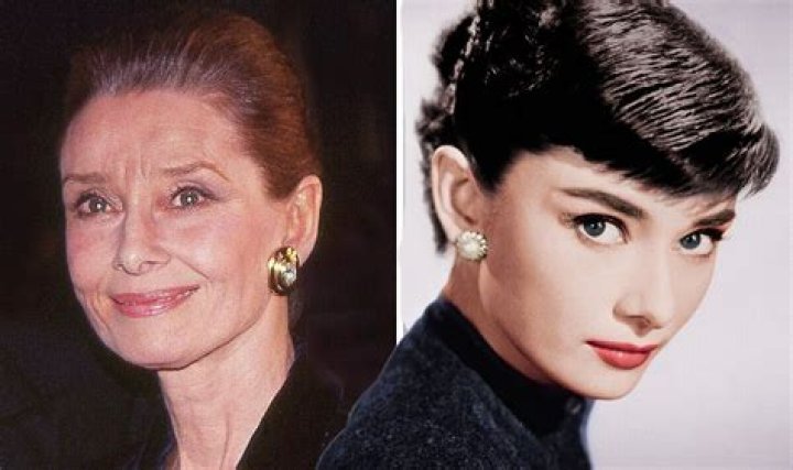 Why audrey hepburn is a hero?