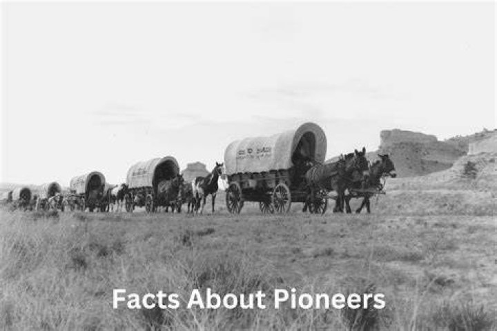 Why did pioneers come to canada?