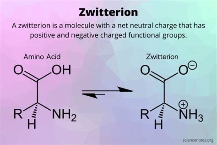 Why do zwitterions exist?