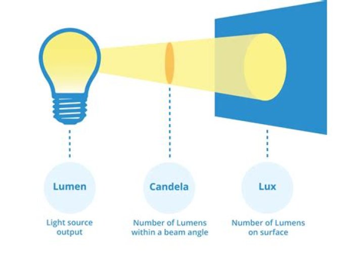 Why does the vein have a large lumen?