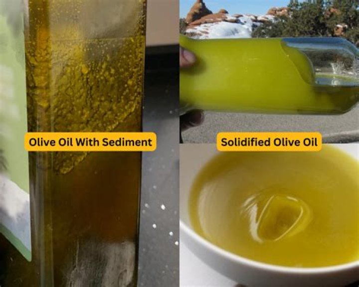 Why green olive oil?