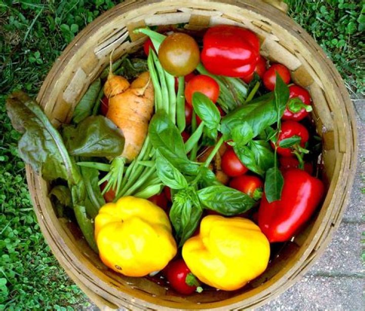 Why heirloom seeds are important?