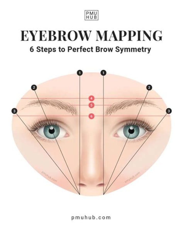 Why is it called high brow?