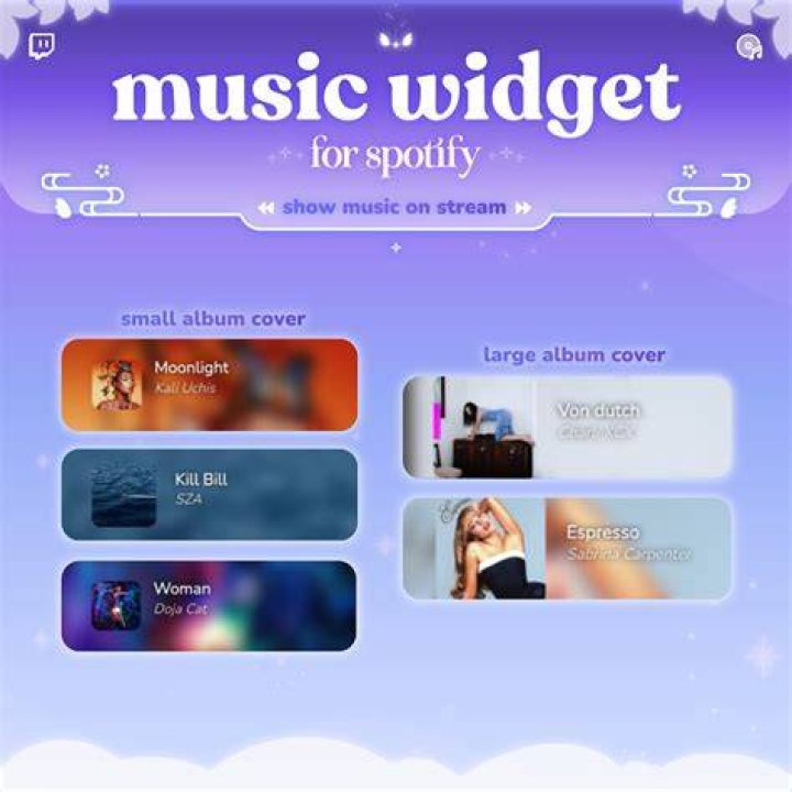 Why is my widget grey?