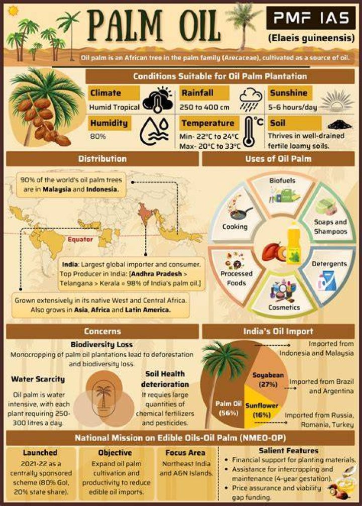 Why is palmyra palm important?