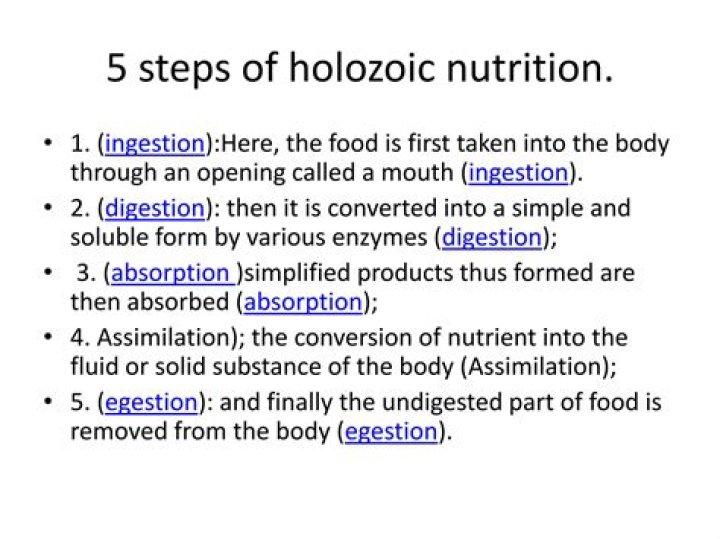 Why is the nutrition in amoeba known as holozoic nutrition?