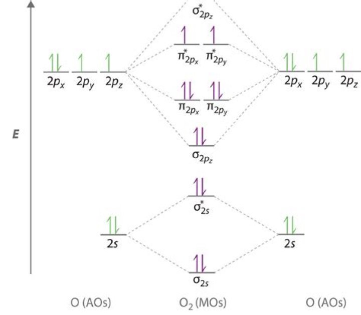 Why oxygen is paramagnetic?