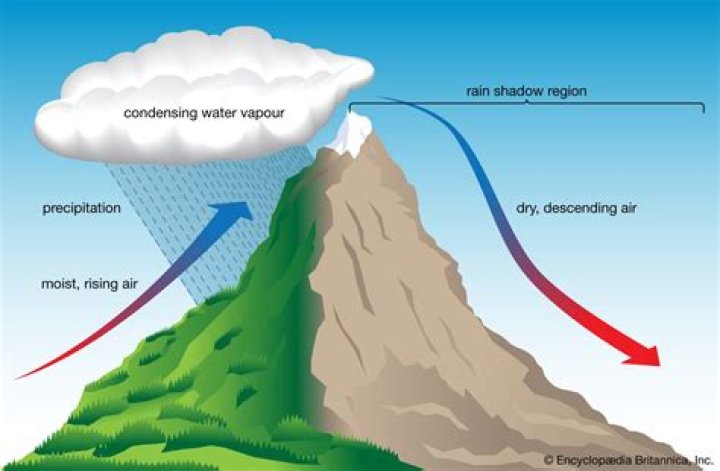 Why rain bearing clouds are black?