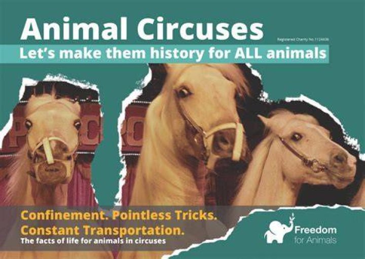 Why should animals be banned from circuses?
