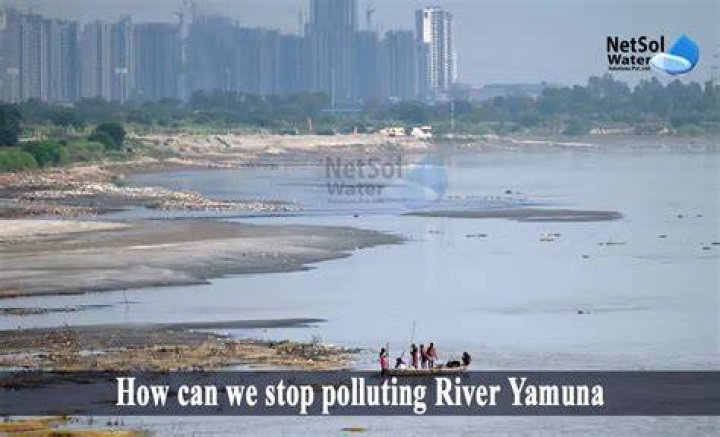 Why yamuna river is getting polluted?