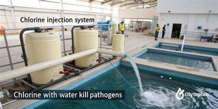 Will chlorinated water hurt plants?