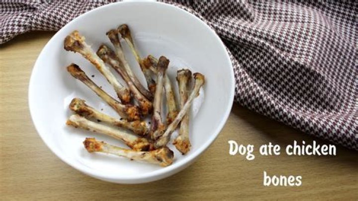 Will raw chicken bones hurt dogs?