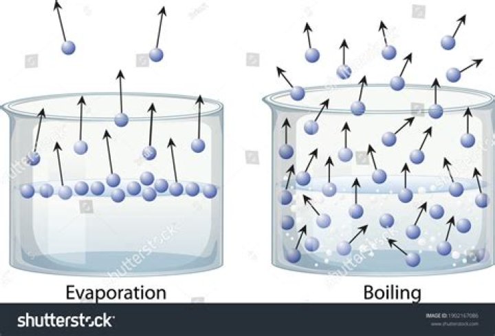 Will standing water evaporate?