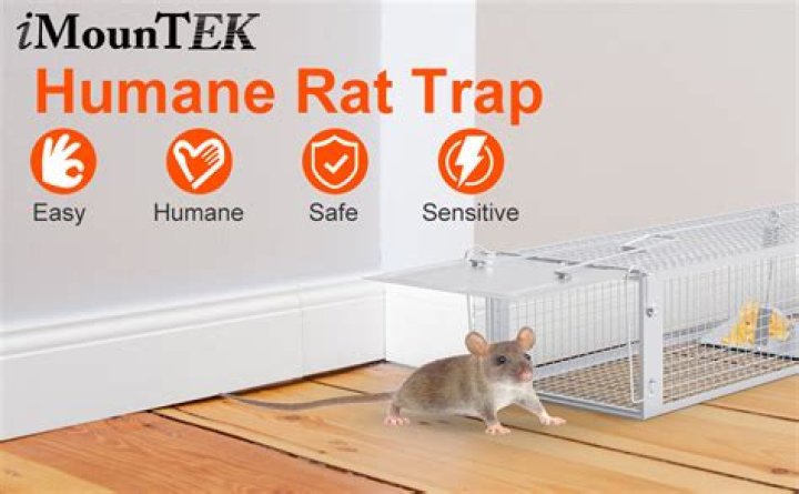 Would a mouse trap kill a rat?